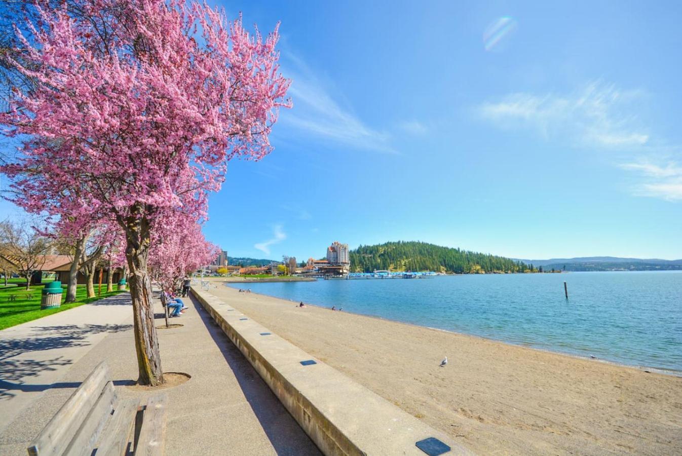 Craftsman Charmer In Downtown Cda Coeur d'Alene Bagian luar foto